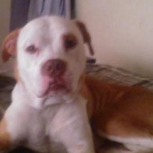 Meet your Posher, Jami